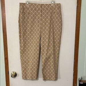 Ann Taylor Factory Cropped Pants Size 12P